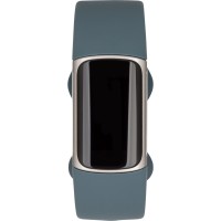 Fitbit Charge 5 Steel Blue/Platinum